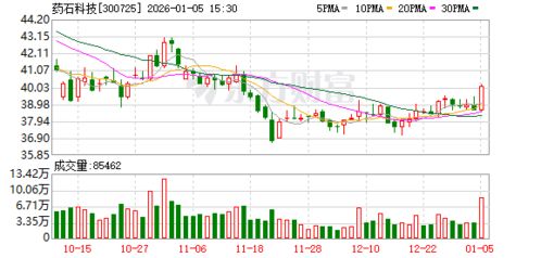 藥石科技 全球醫藥研發與制造的創新化學產品及技術服務領航者